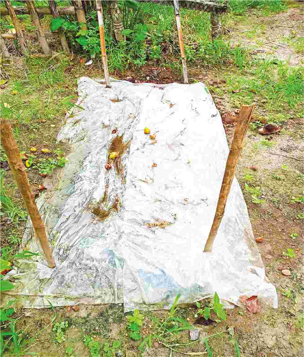 Image of নাজমুল ইসলাম রাজু